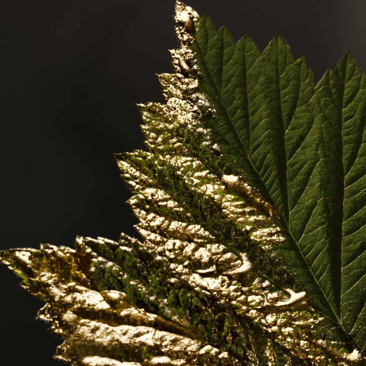 Men's Perfume BOSS BOSS BOTTLED EDP 50 ml-5